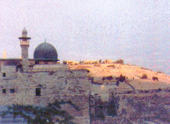 מתמונות שסלעית צילמה בירושלים